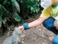 mascota4