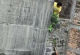 rio30082011-3