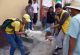 perro1