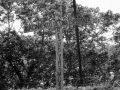 elsa2010-841