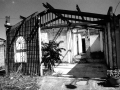 elsa2010-860