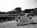 elsa2010-864