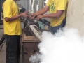 fumifeb2010
