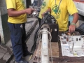 fumifeb2010