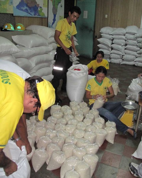 basecentralarroz