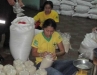 basecentralarroz