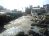 DSC02328
