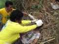 mariona2-Medium