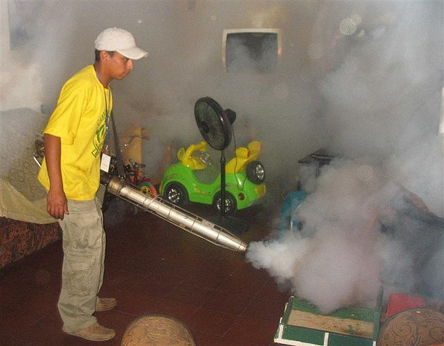 Lucha Contra El Dengue