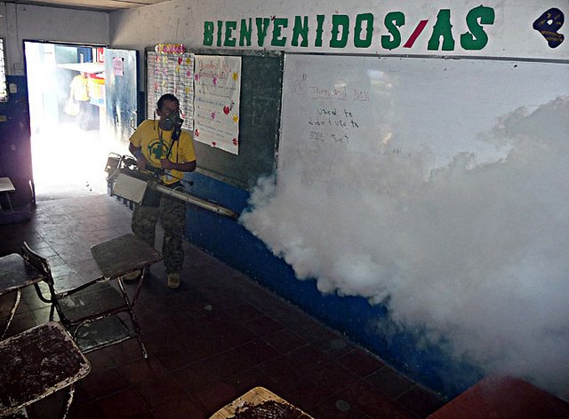 Fumigación en Centros Educativos