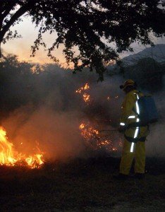 Incendio Forestal