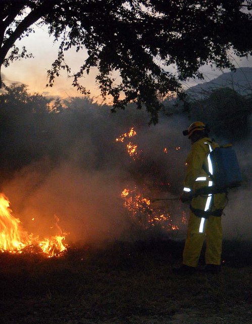 Incendio Forestal