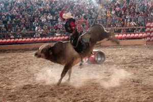 Jaripeo en la Feria