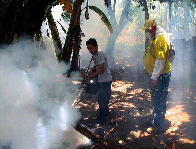 Más Fumigación (es)