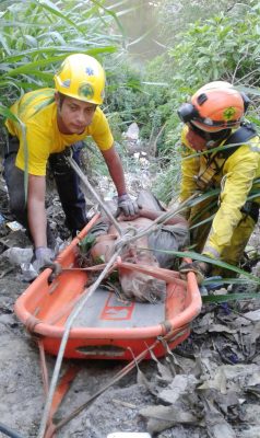 救援団体Comandos de Salvamento、谷底に転落した男性を救出