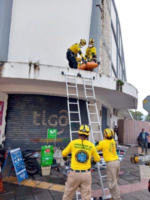 SIMULACRO DE TERREMOTO EN NUESTRO PAIS